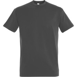 Pack Artisan 5 T-shirts Recto/Verso