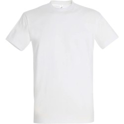 Pack Artisan 5 T-shirts Recto/Verso