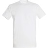 Pack Artisan 5 T-shirts Recto/Verso
