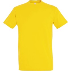 Pack Artisan 5 T-shirts Recto/Verso