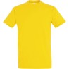 Pack Artisan 5 T-shirts Recto/Verso