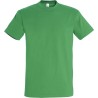 Pack Artisan 5 T-shirts Recto/Verso
