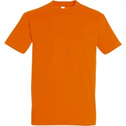 Pack Artisan 5 T-shirts Recto/Verso
