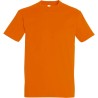 Pack Artisan 5 T-shirts Recto/Verso