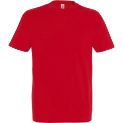 Pack Artisan 5 T-shirts Recto/Verso