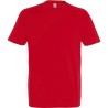 Pack Artisan 5 T-shirts Recto/Verso